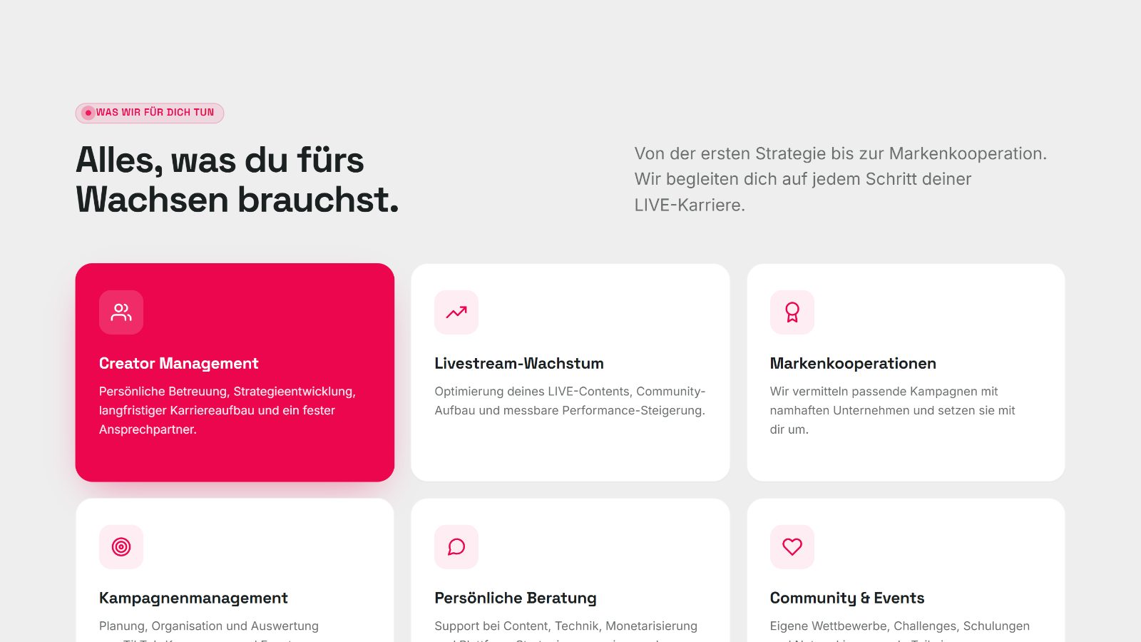 Abschnitt von trueconnective.com mit den Leistungen der Agentur in sechs Karten
